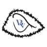 bluevisionclothings logo
