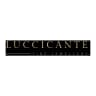 Luccicante logo