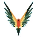 Maverick by Logan Paul