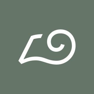 Ruggable store analysis